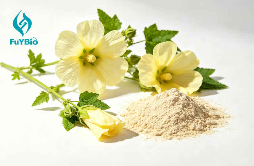 Abelmoschus Manihot Flower Total Flavonoids Extract